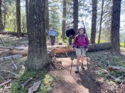 down tree crossing